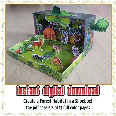halimbawa ng diorama|What Is A Shoebox Diorama .